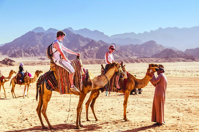 Image of Gobi Desert & Nomadic Experience Tour – 6 Days Mongolia