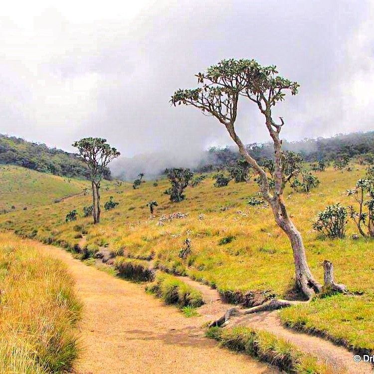 Pearl of the Indian Ocean: 10-Day Sri Lanka Heritage & Nature Journey