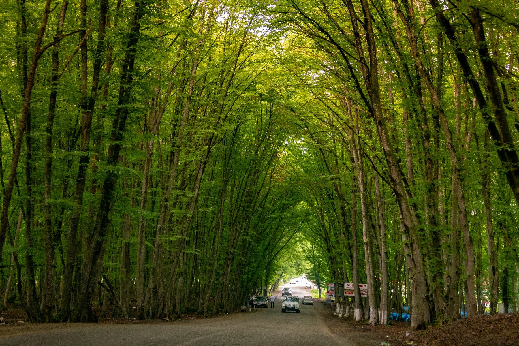 Image of Quba Discovery Tour: Forests, Faith & Timeless Traditions