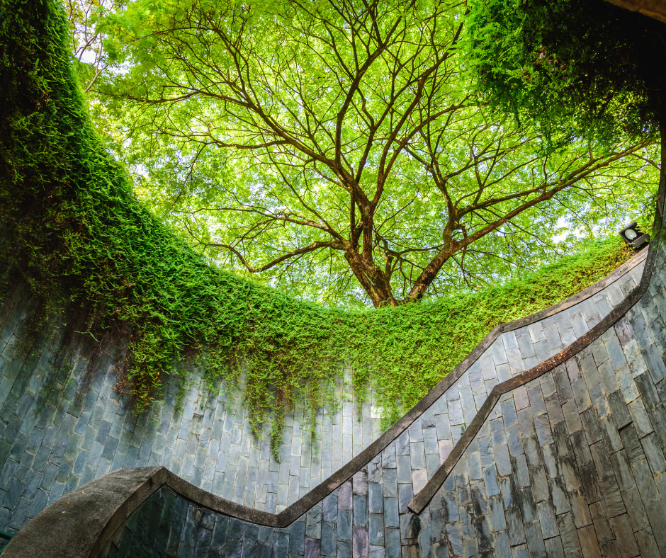 Image of Colonial Echoes & Garden Escapes: Fort Canning & Civic District