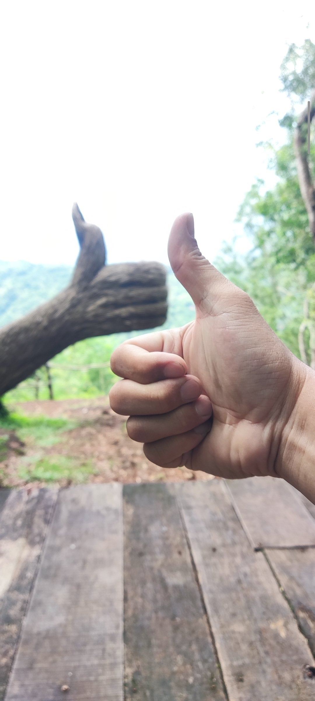 Image of Yogyakarta Day Tour: Gunung Api Purba Trekking, Goa Pindul Tubing, Hutan Pinus Pengger, and Pictniq Experience