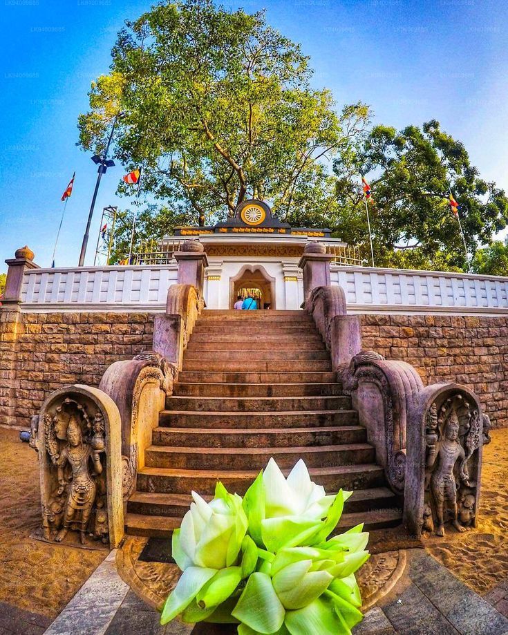 Pearl of the Indian Ocean: 10-Day Sri Lanka Heritage & Nature Journey