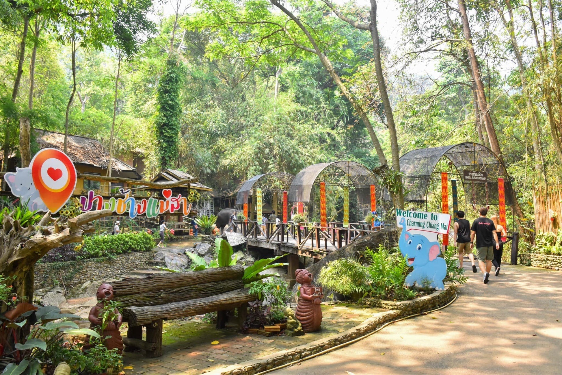 Mae Rim Wonders: Elephant Camp, Sky Adventures & Moroccan Charm