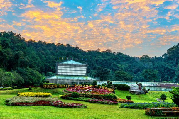 Mae Rim Wonders: Elephant Camp, Sky Adventures & Moroccan Charm