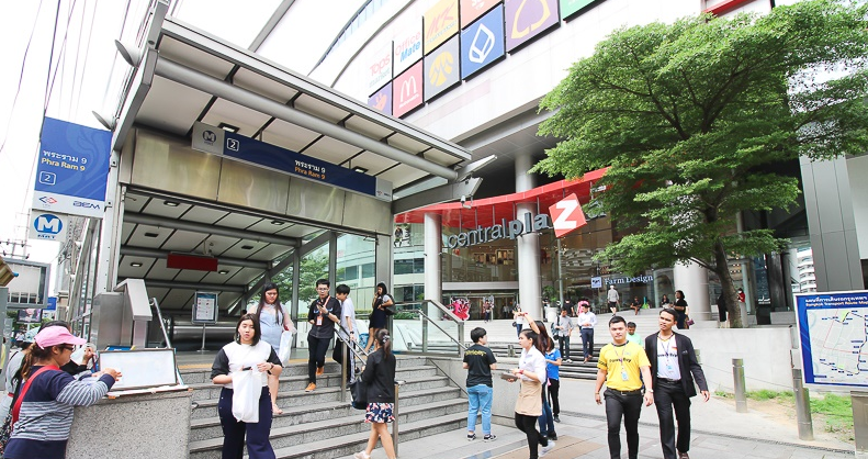 Pattaya Highlights Tour – Elephant Sanctuary, Iconic Cafés & Sunset Fish Market