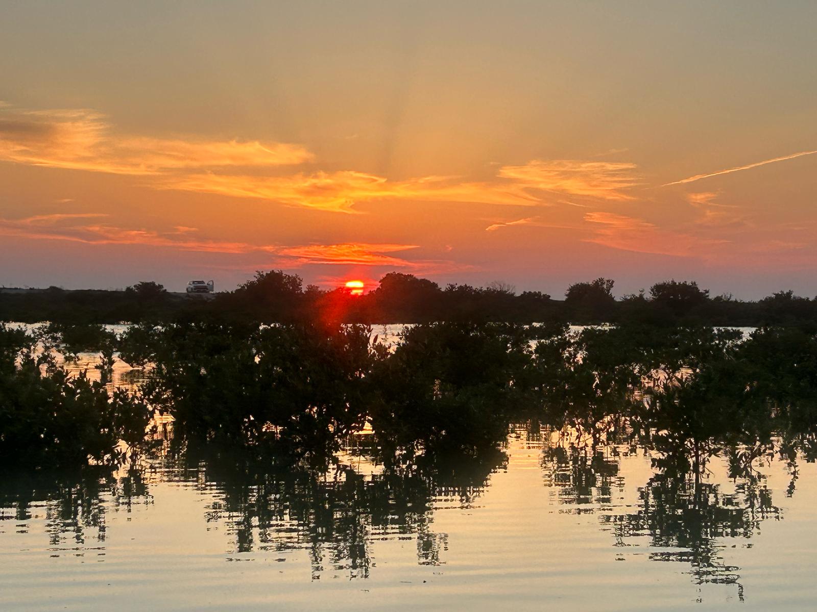 Hidden Oasis Adventure: Kayaking Through Purple Island’s Mangroves