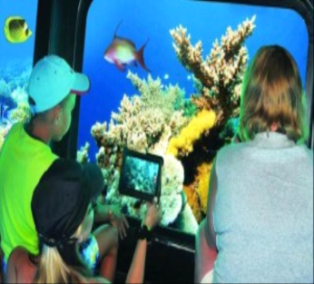 Luxury Egypt Vacation: 11 Days Cairo Pyramids, Nile River Cruise & Red Sea Resort