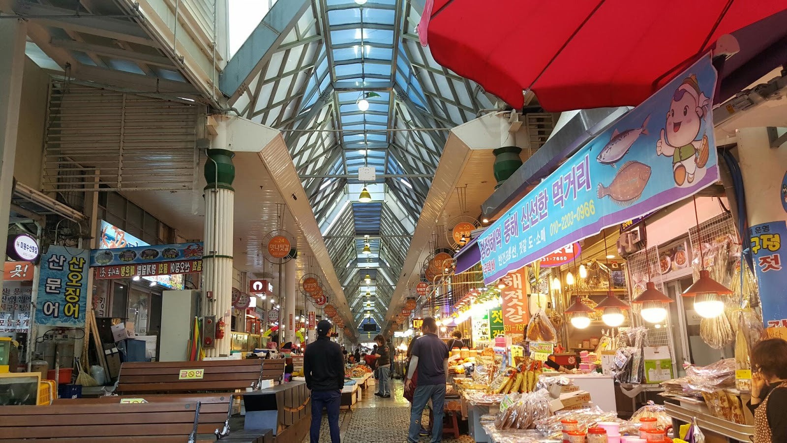 [Guided Tour] East Sea Highlights: Sokcho to Gangneung Day Drive (10 hrs)
