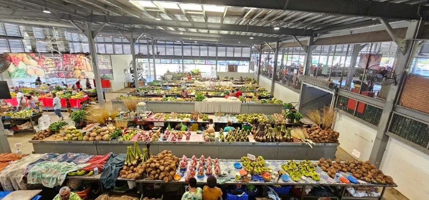 [Morning Session] Nadi Discovery Tour: Temples, Villages, Orchids & Hot Springs