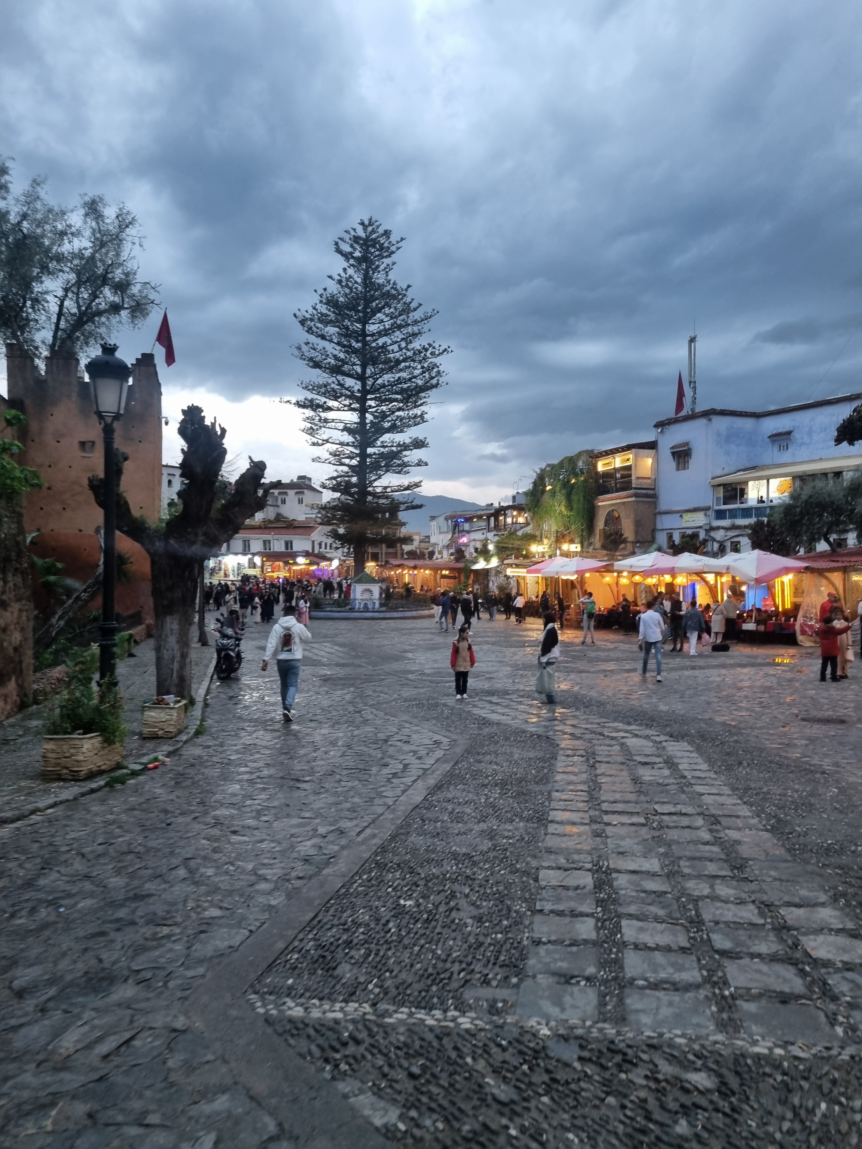 Image of Atlantic Breeze Escape: Marrakech to Essaouira Day Trip