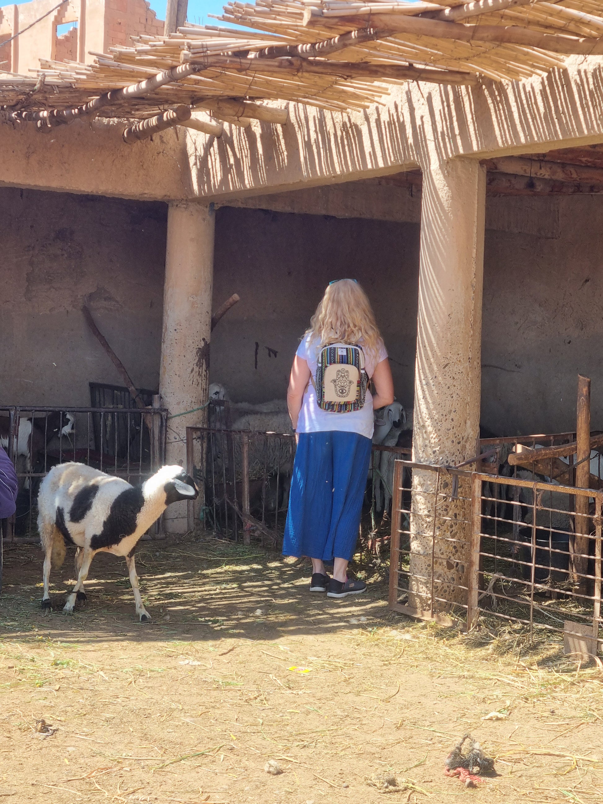 Atlas to the Sahara Gate: Ouarzazate & Ait Ben Haddou Day Tour