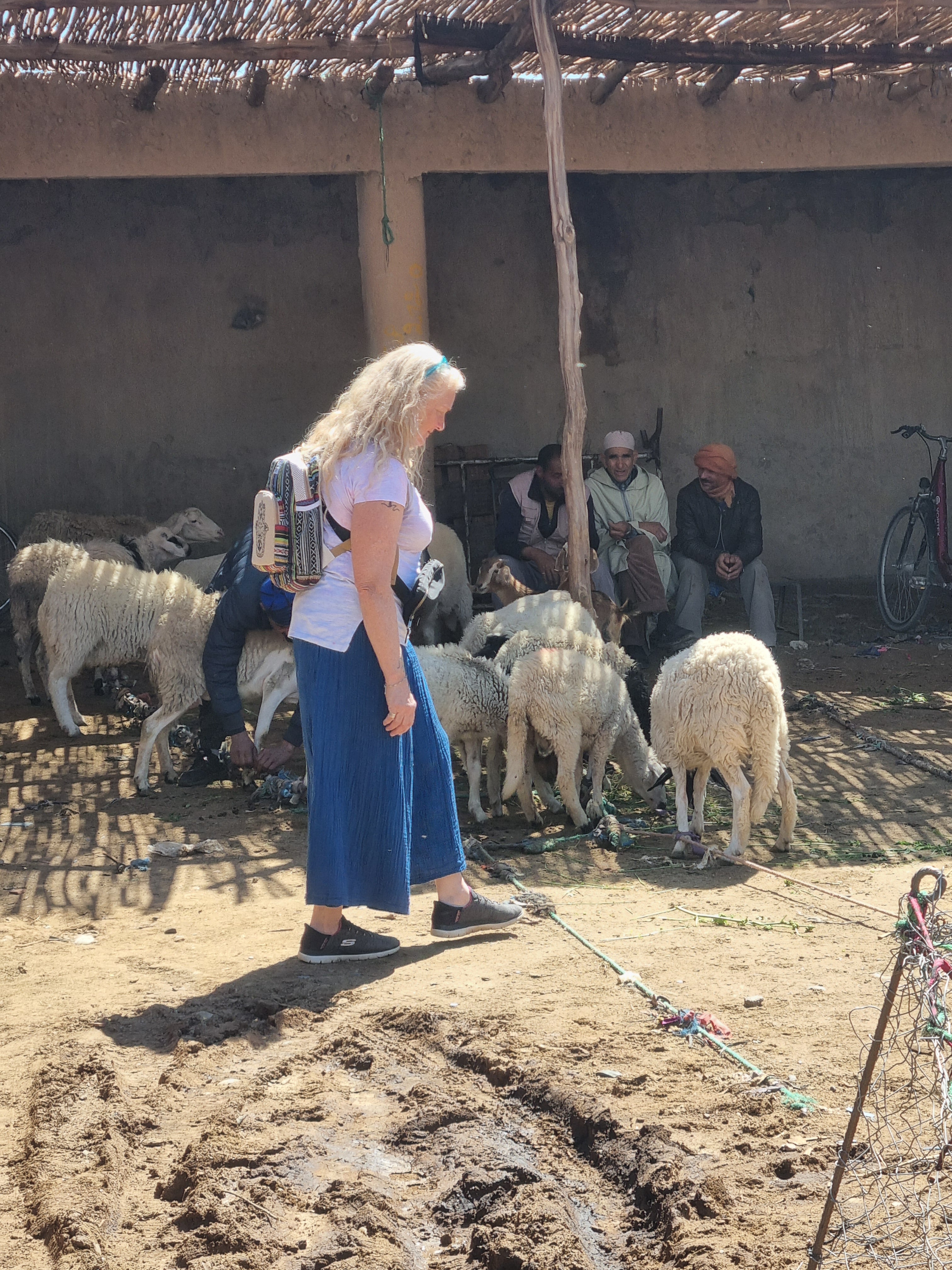 Image of Grand Morocco Circle: Imperial Cities, Sahara Nights & Blue Streets