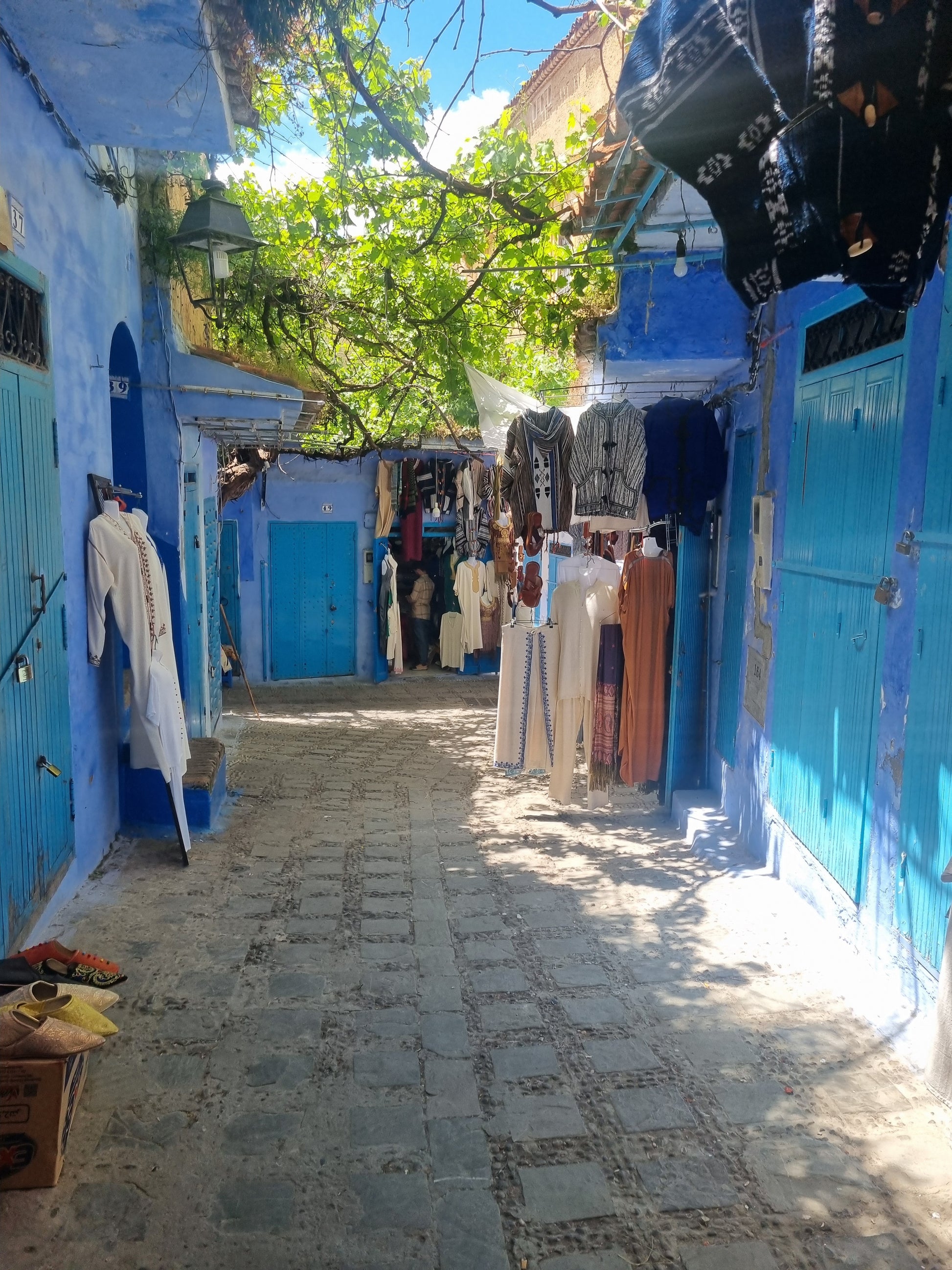 Beyond the Souks: A Cultural & Desert Immersion from Tangier to Marrakech