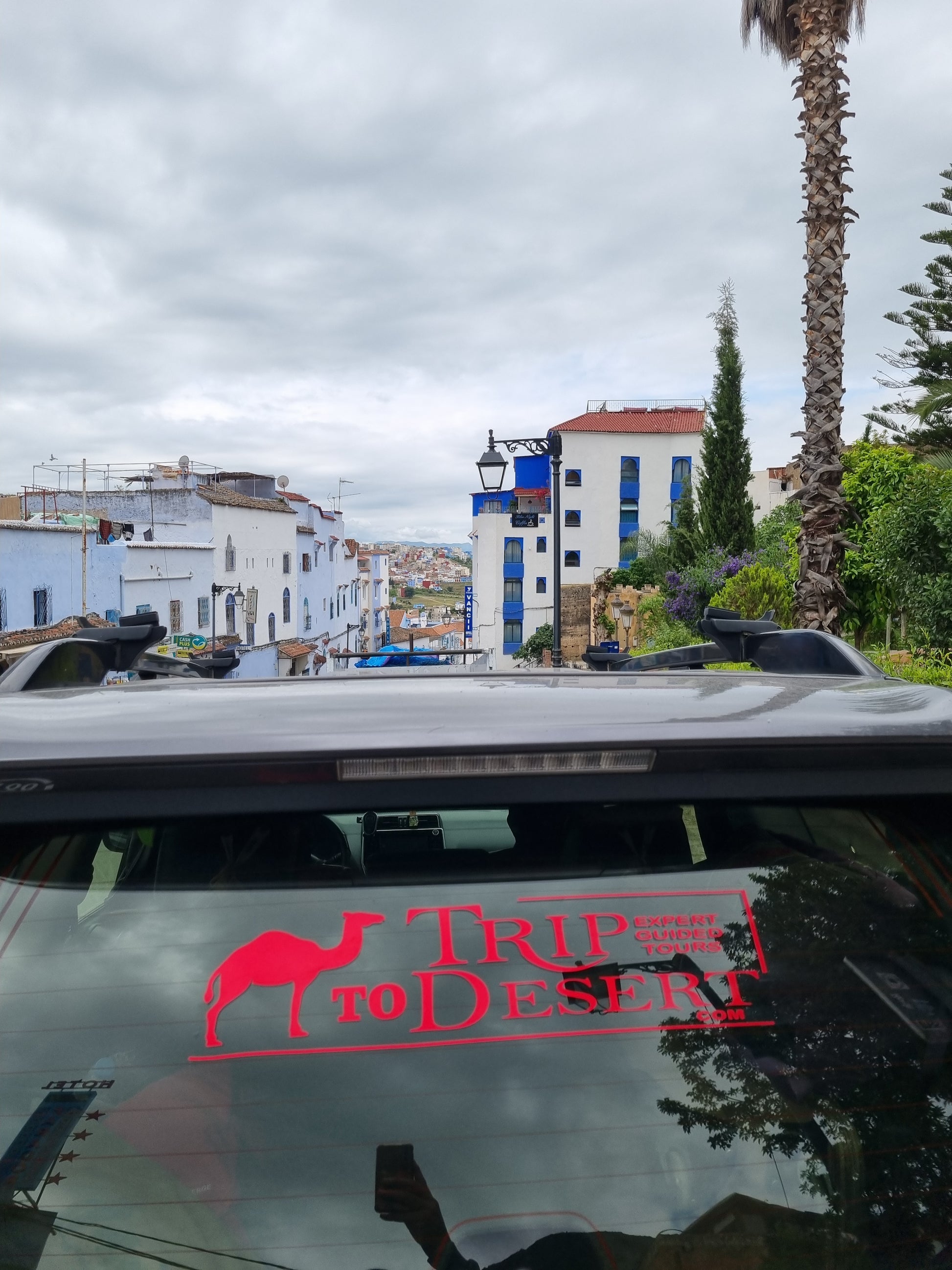 Imperial Morocco & Sahara Dreams – 7 Days of Wonder