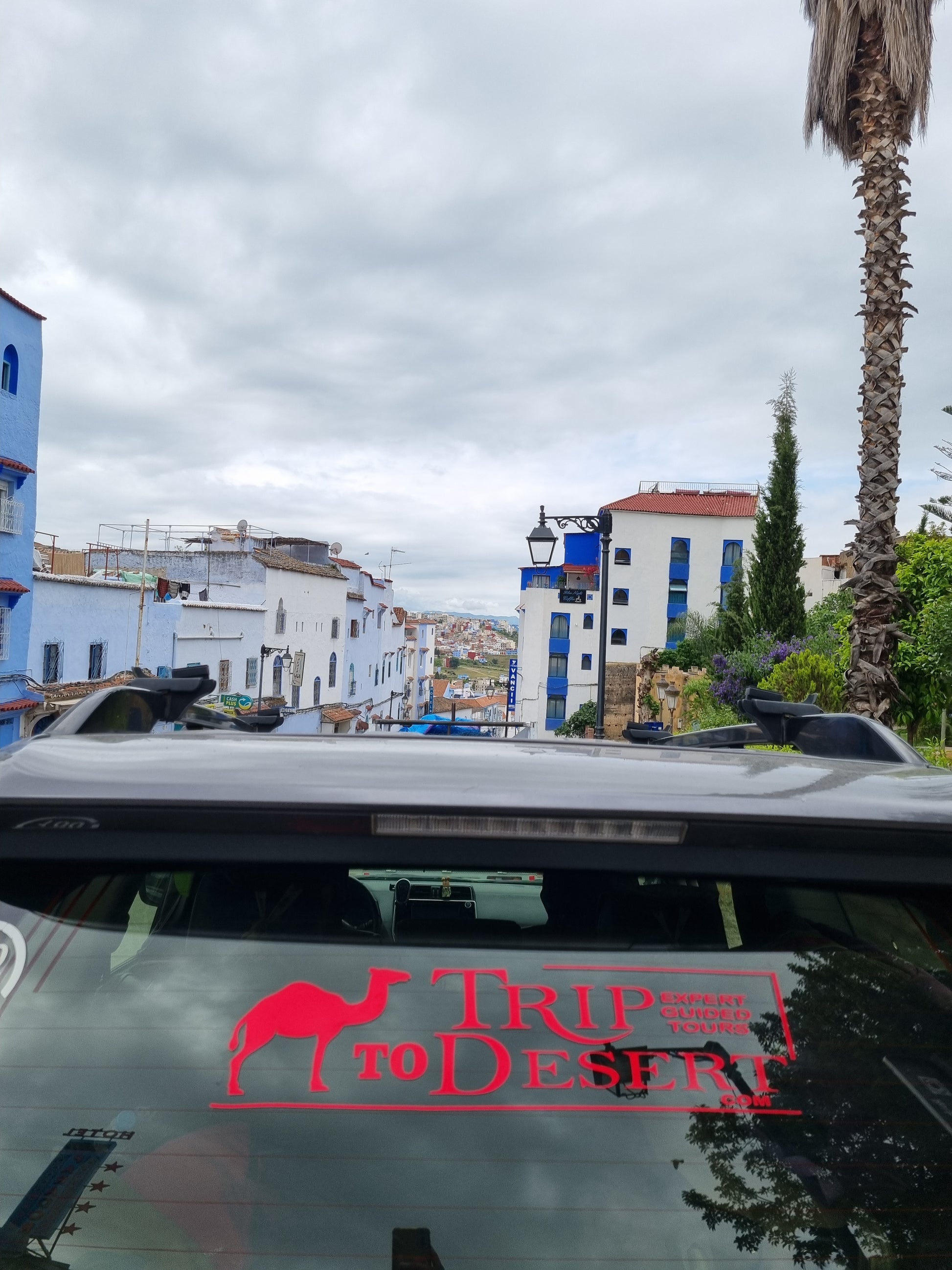 Blue Horizons to Sahara Sunsets: Tangier to Marrakech Adventure