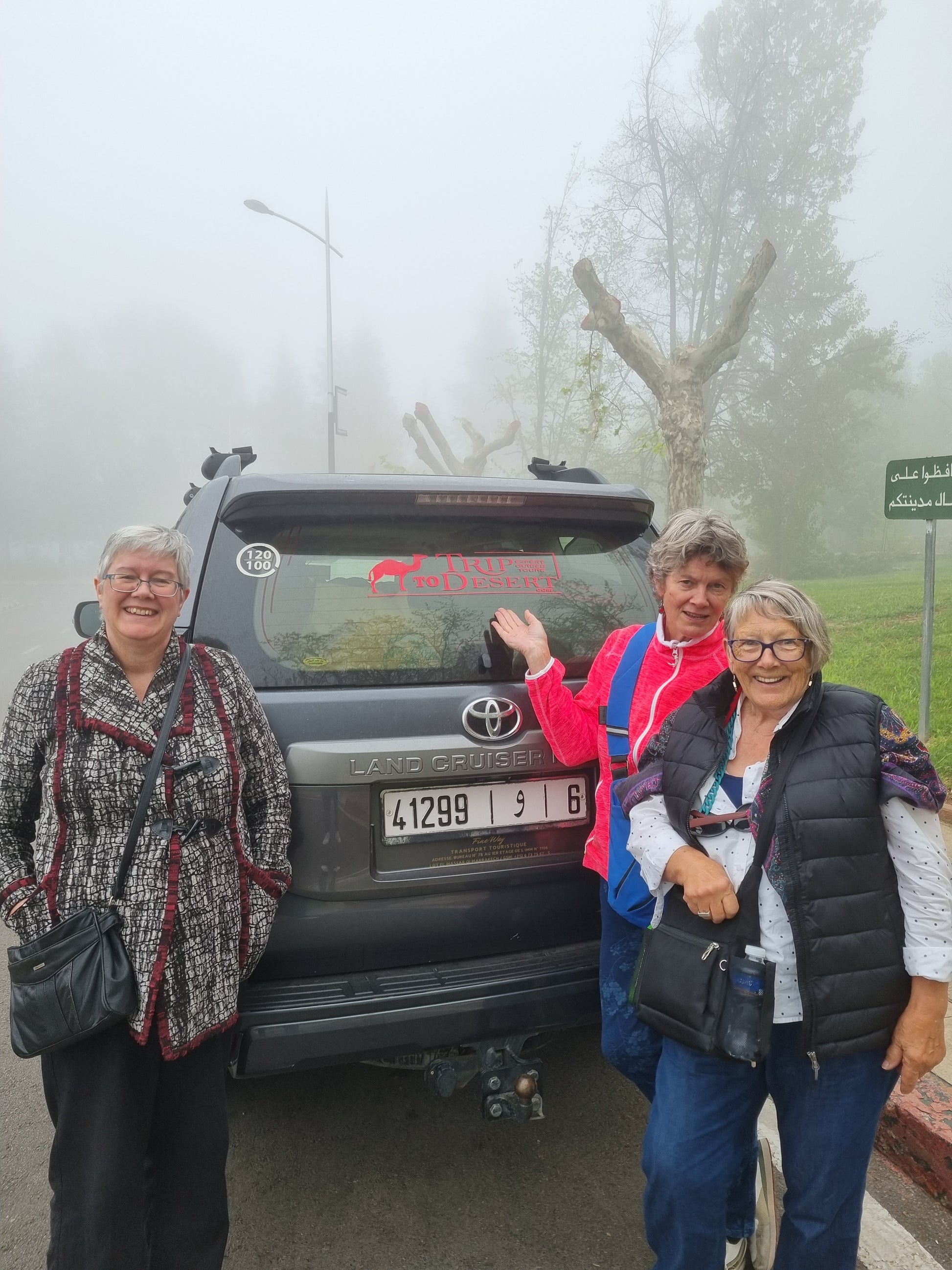 Middle Atlas Escape: Ifrane, Cedar Forest & Barbary Monkeys Day Tour