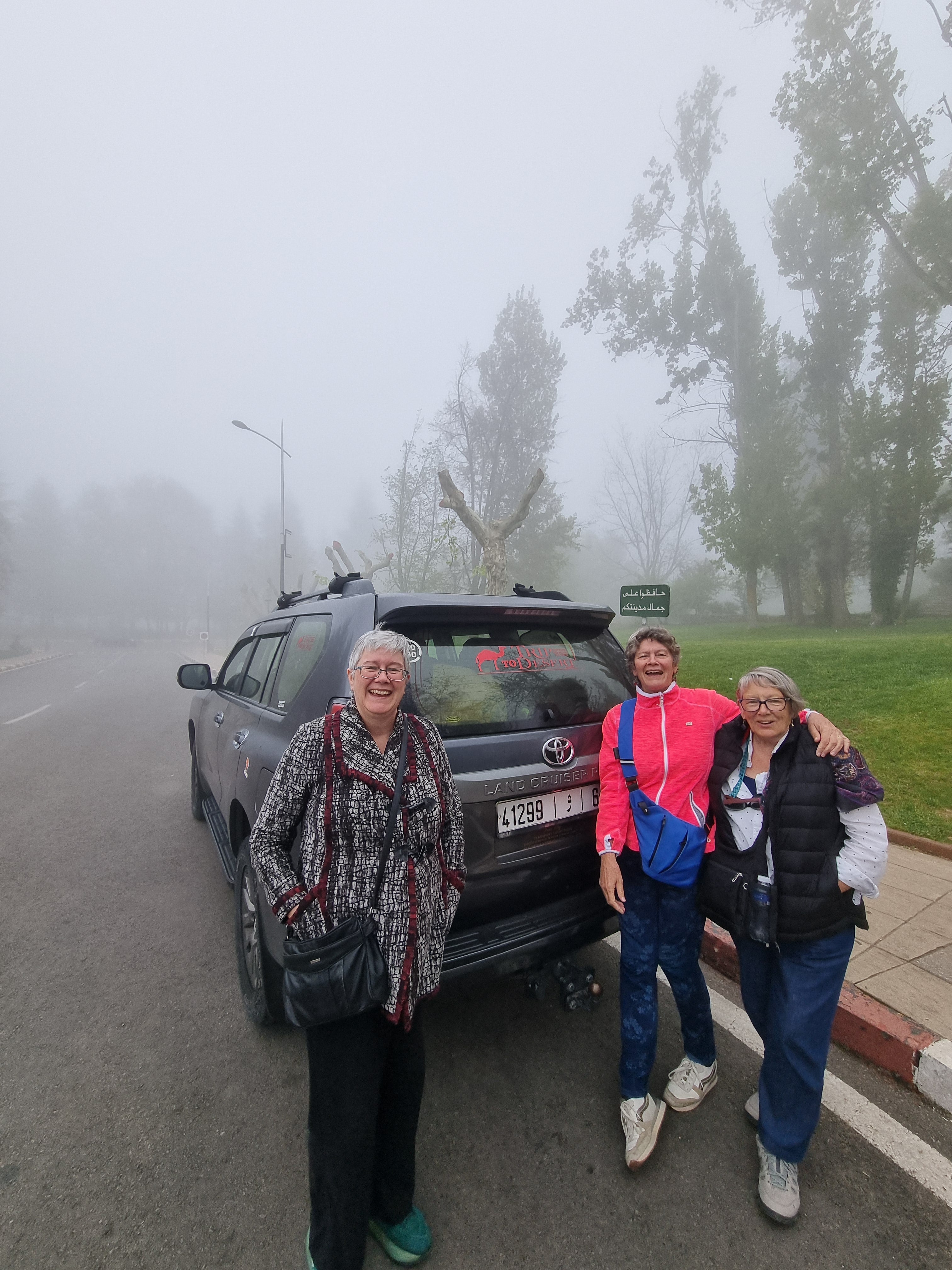 Image of Middle Atlas Escape: Ifrane, Cedar Forest & Barbary Monkeys Day Tour