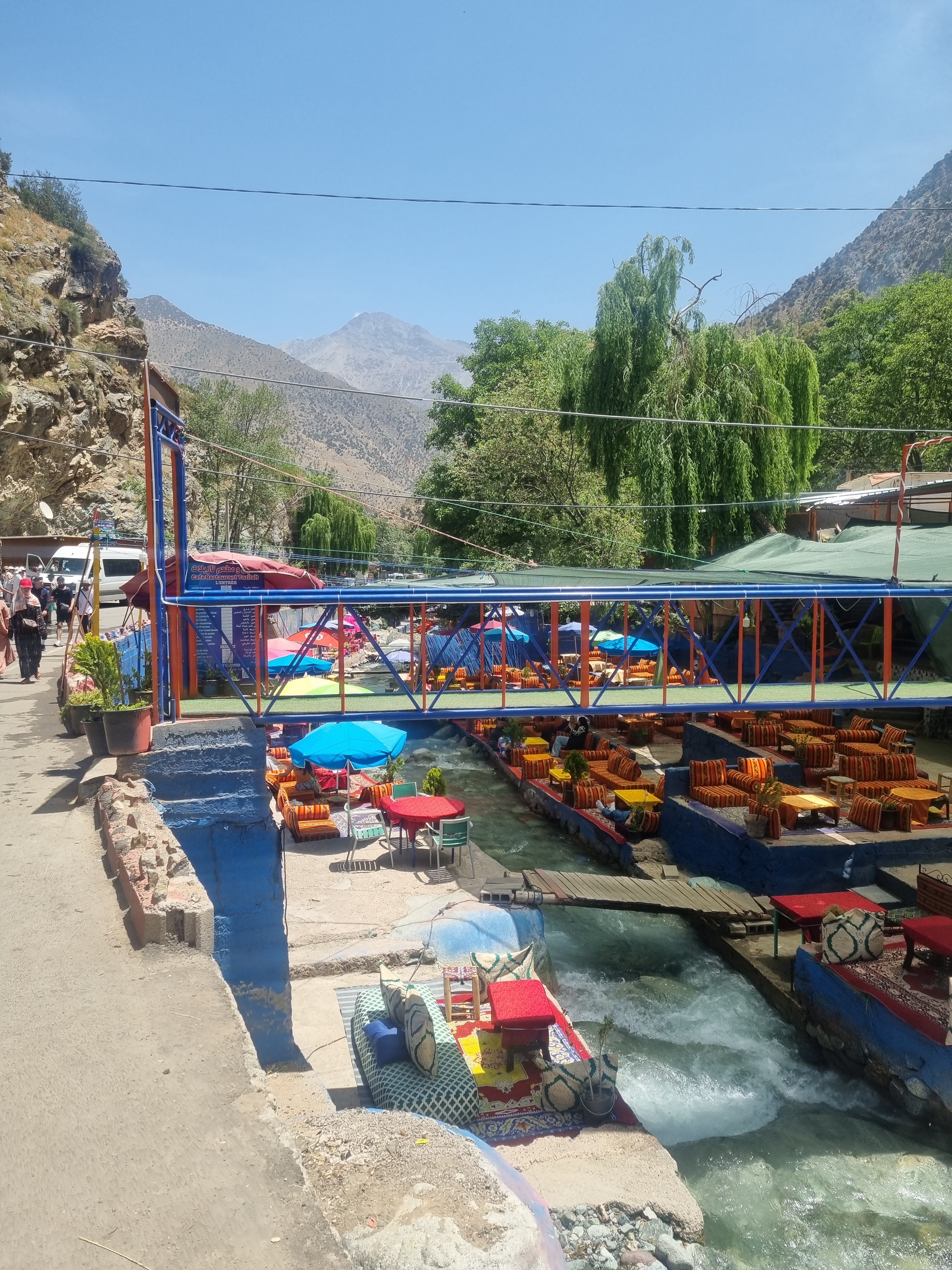 Image of Middle Atlas Escape: Ifrane, Cedar Forest & Barbary Monkeys Day Tour