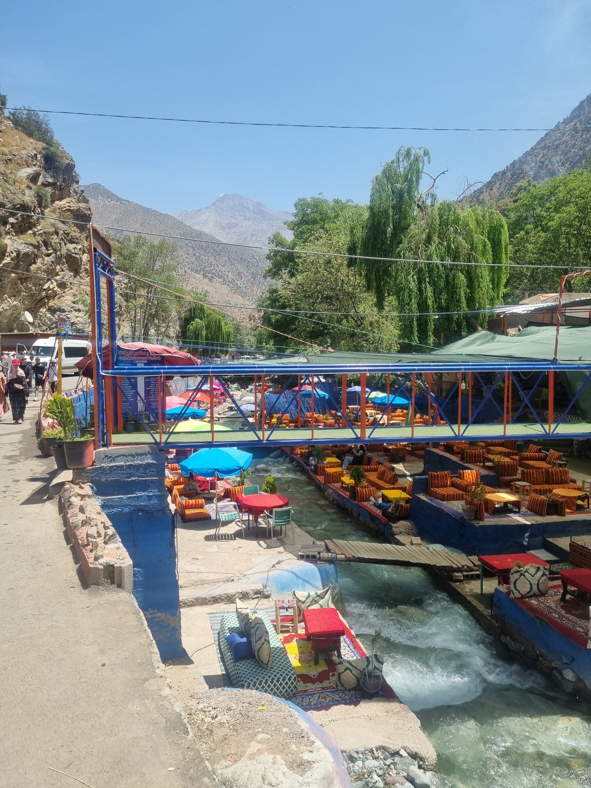 Middle Atlas Escape: Ifrane, Cedar Forest & Barbary Monkeys Day Tour