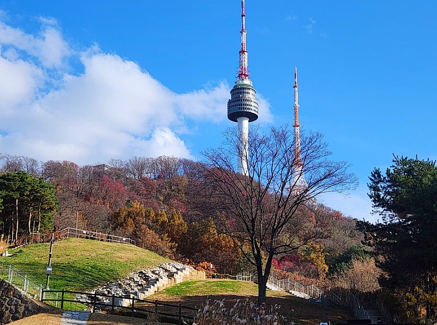 Image of Discover Seoul: Gyeongbok Palace, Bukchon Hanok & N Seoul Tower (Muslim-Friendly)