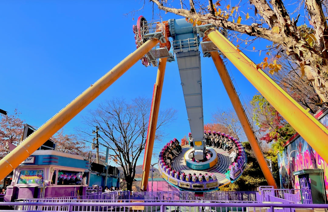 5D Seoul Discovery Tour: Culture, Everland Thrills & Nami Island Beauty