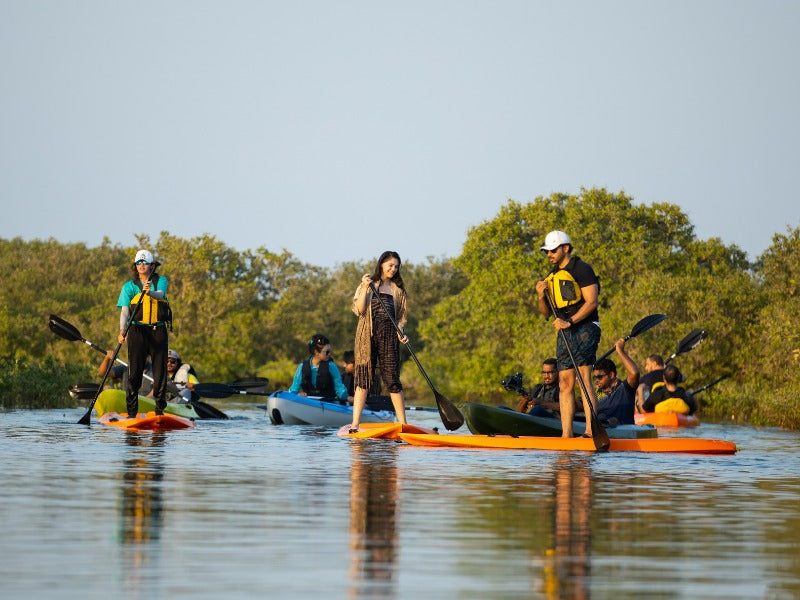 Paddle Through Paradise: Al Mafjar Mangroves Kayaking & SUP Nature Escape