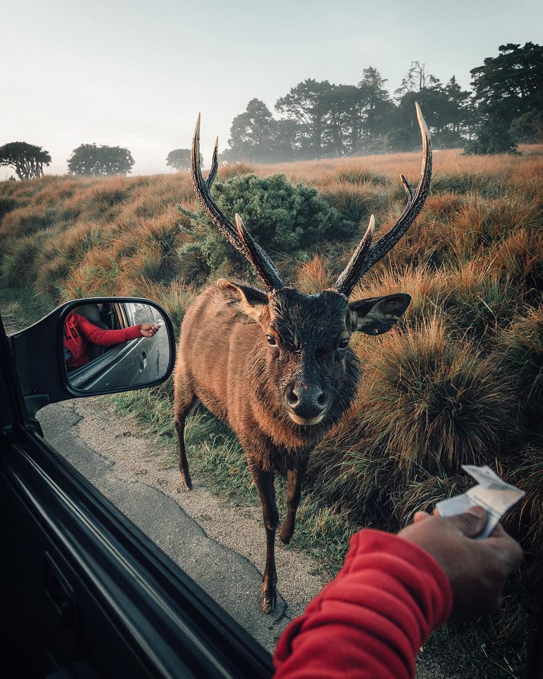 Pearl of the Indian Ocean: 10-Day Sri Lanka Heritage & Nature Journey