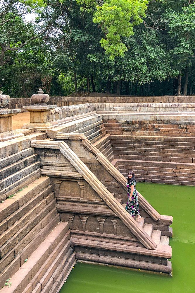 Image of Pearl of the Indian Ocean: 10-Day Sri Lanka Heritage & Nature Journey