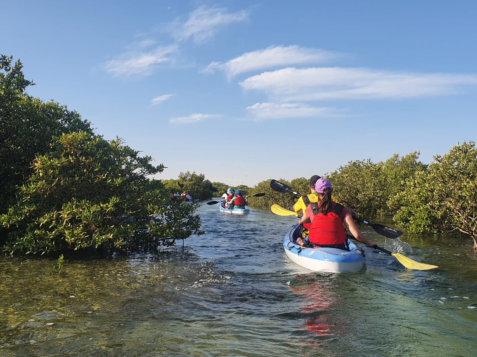Paddle Through Paradise: Al Mafjar Mangroves Kayaking & SUP Nature Escape