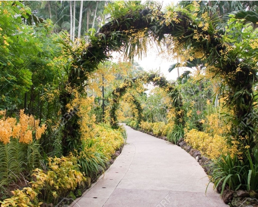 Image of Taste, Heritage & Nature: Singapore’s Signature Walking Tour (Afternoon)