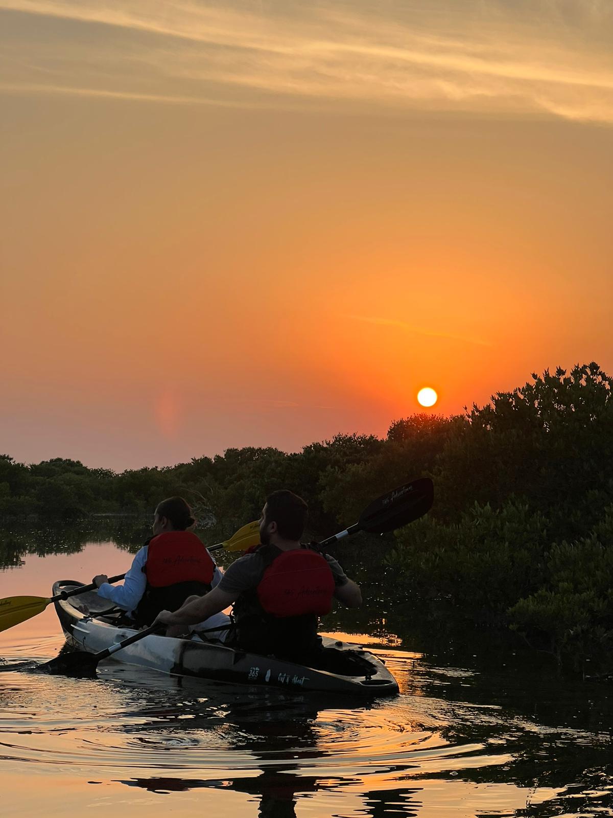 Image of Paddle Through Paradise: Al Mafjar Mangroves Kayaking & SUP Nature Escape