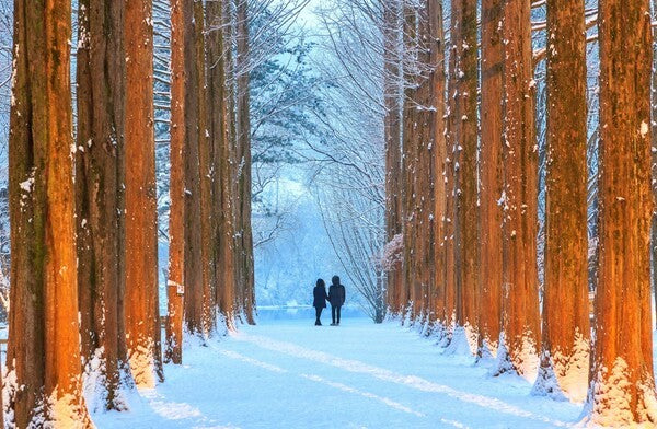 Image of Nami Island Winter