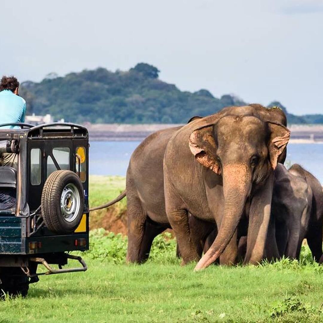 Image of 6D Sri Lanka Express Journey: Ancient Wonders & Scenic Escapes