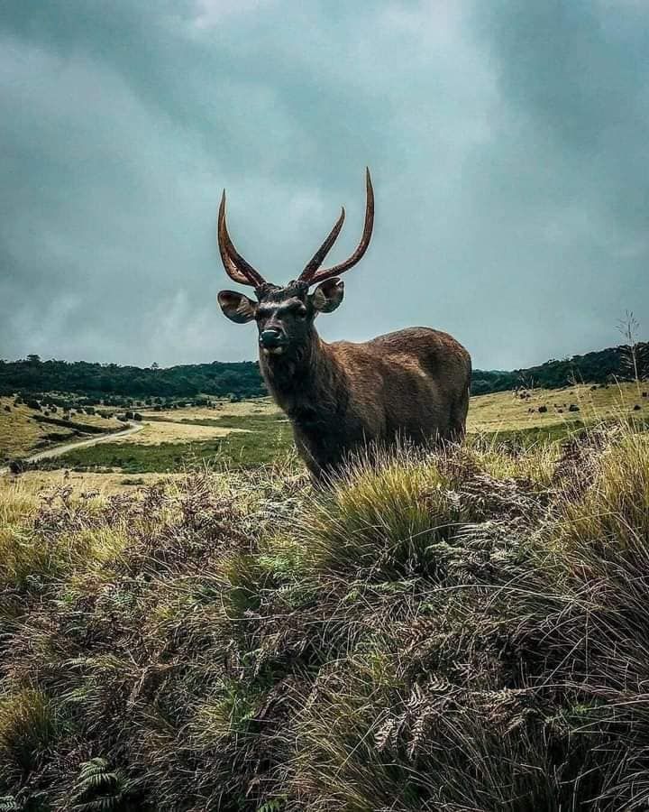 Pearl of the Indian Ocean: 10-Day Sri Lanka Heritage & Nature Journey