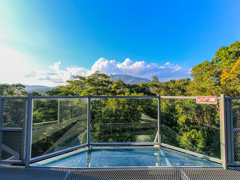 Image of Mae Rim Wonders: Elephant Camp, Sky Adventures & Moroccan Charm