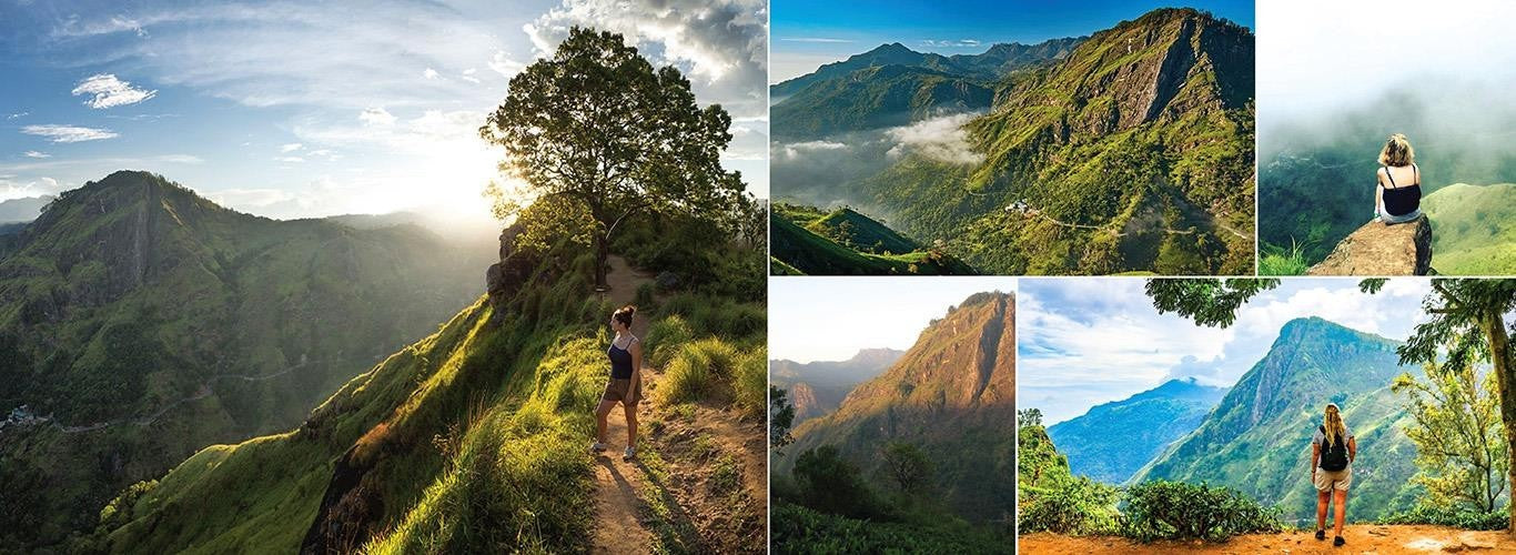 Image of Sri Lanka in 3 Days: Sigiriya, Kandy & Tea Country Escape