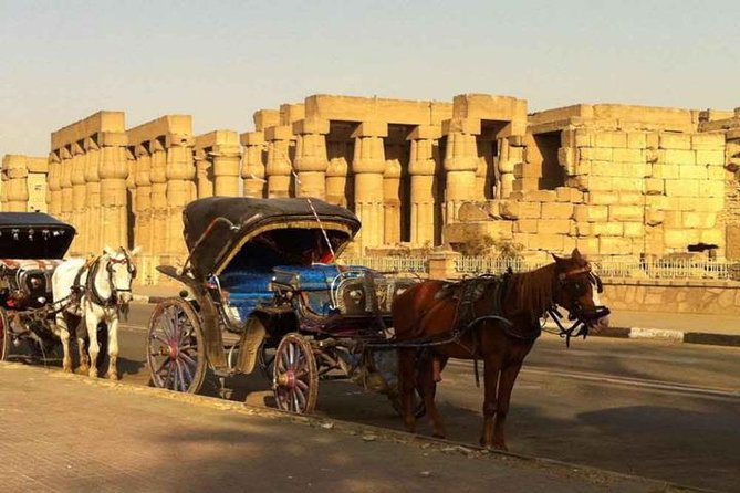 Image of Aswan City Horse-Drawn Carriage — Elephantine & Corniche Experience