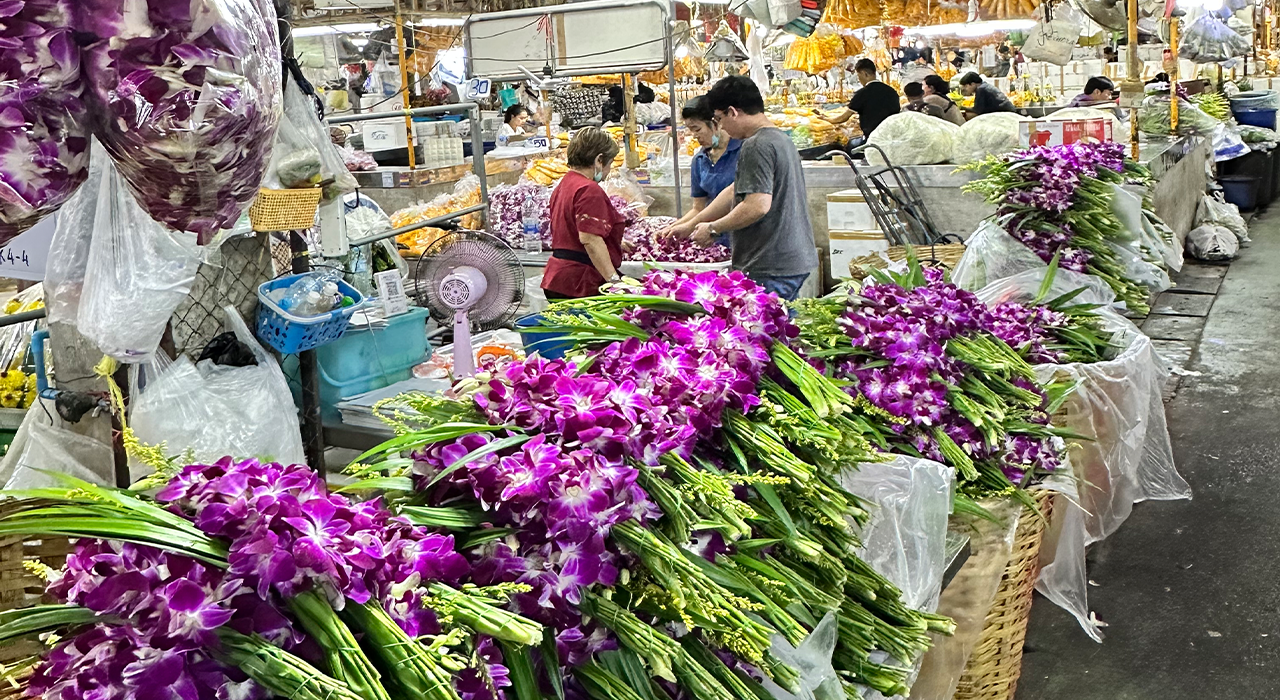 An Evening in Bangkok: Food Discovery, Temple and Tuk-Tuk Adventure