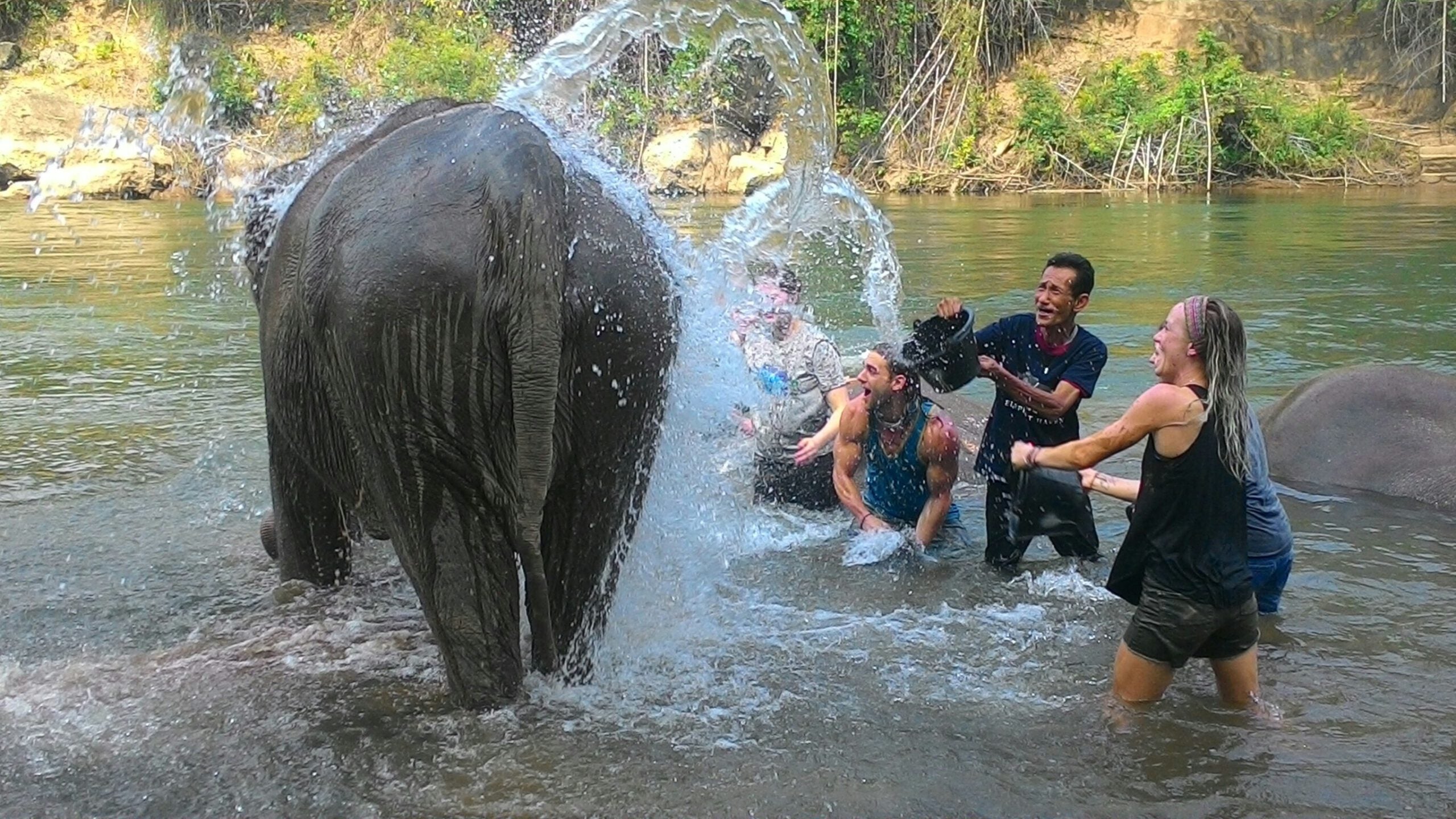 Image of Into the Wild: Ethical Elephant Care & Erawan National Park Adventure