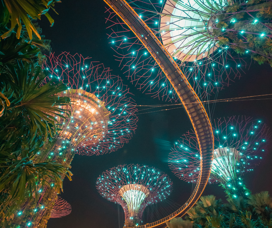 Illuminated Marina Bay: Night Walk with Spectra & Supertrees