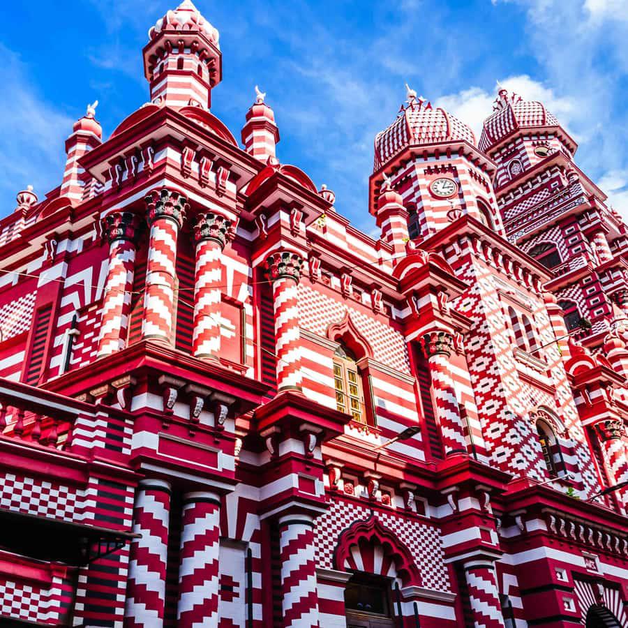 Image of From Coast to Clouds: 5-Day Spectacular Sri Lanka Adventure