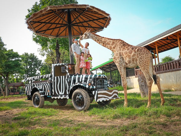 Image of Wildlife & Wonders: Ayutthaya Lion Park, Thai Costume & Ancient Temples Adventure