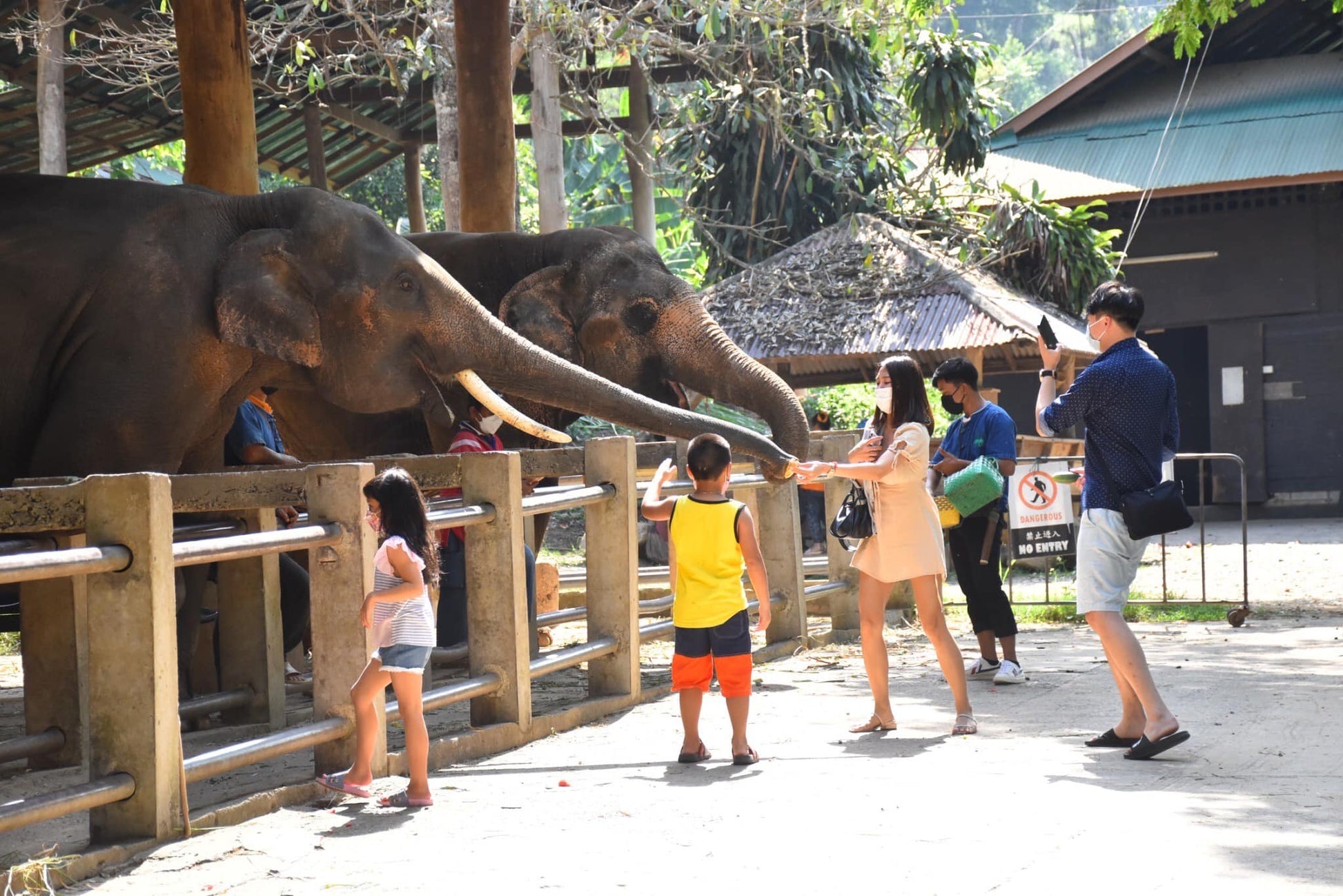 Mae Rim Wonders: Elephant Camp, Sky Adventures & Moroccan Charm