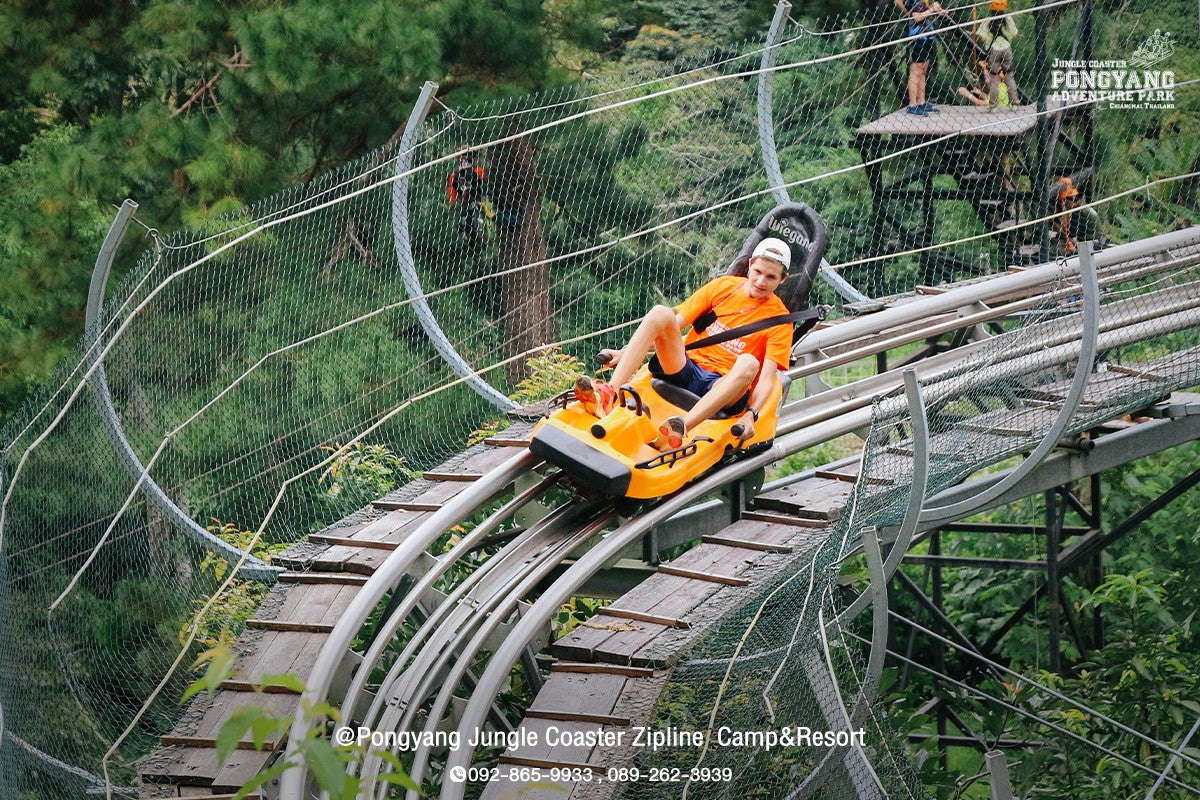 Mae Rim Wonders: Elephant Camp, Sky Adventures & Moroccan Charm