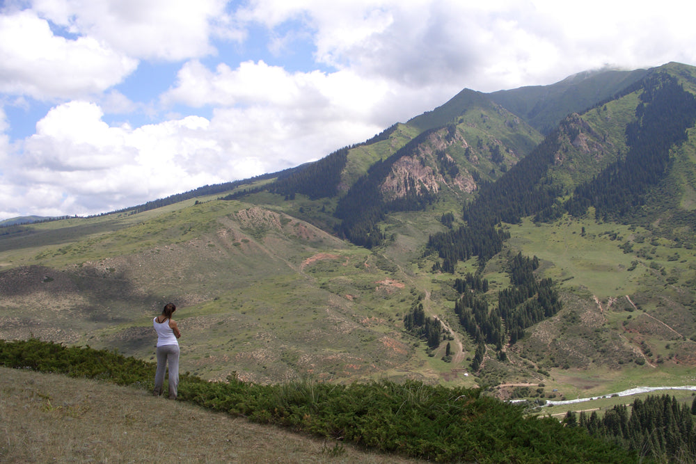 Image of Epic Son-Kul Expedition: 10 Days on Horseback in Kyrgyzstan