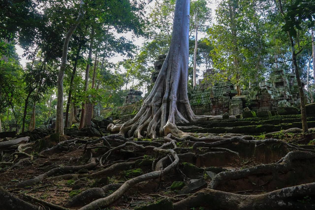 Image of Cambodia: 3 Day Angkor Wat Biking Tour