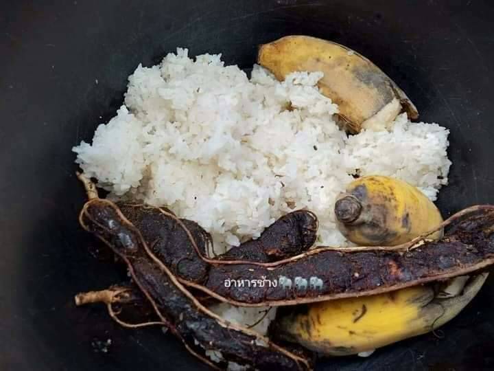 Image of Into the Wild: Ethical Elephant Care & Erawan National Park Adventure