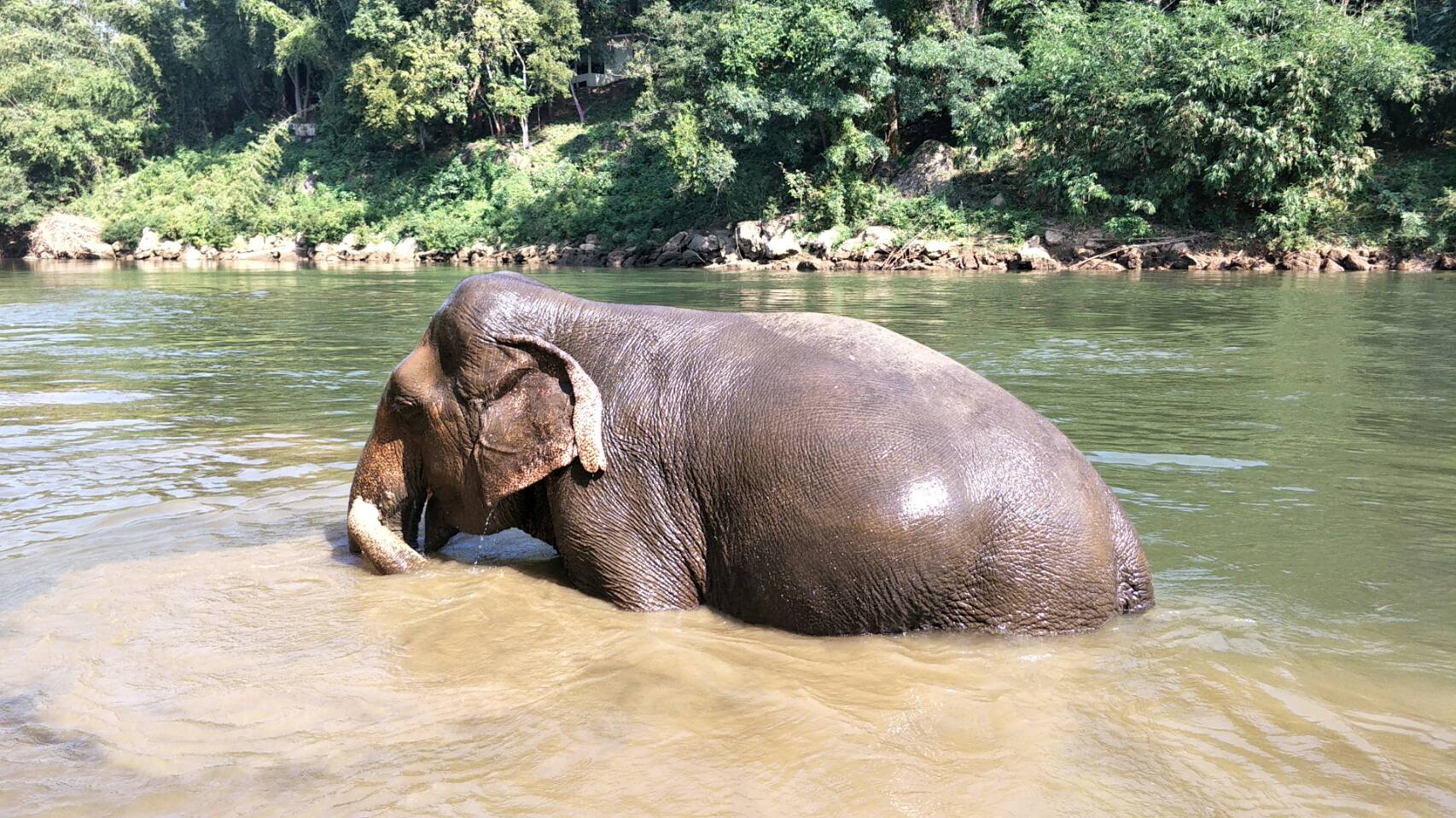Image of Into the Wild: Ethical Elephant Care & Erawan National Park Adventure