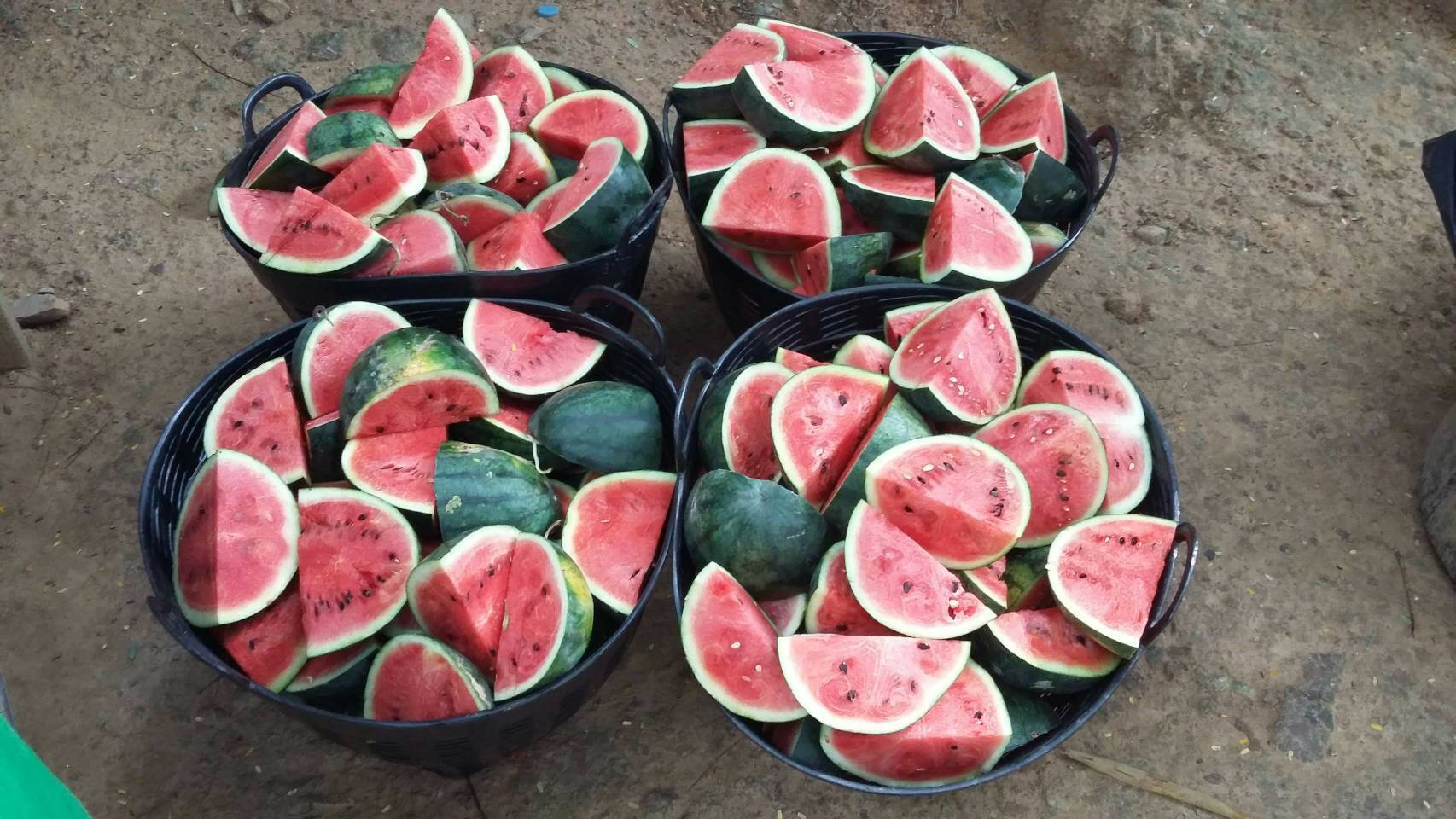 Into the Wild: Ethical Elephant Care & Erawan National Park Adventure