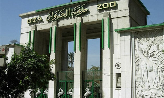 Image of Half Day Giza Zoo Trip from Cairo — Wildlife, History & Photo Stops